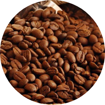 Arabica