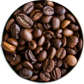 Robusta
