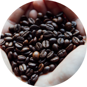 Roasted Coffee